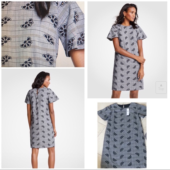 ann taylor shift dress